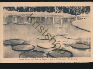 Buitenzorg - Groote Vijver met Victoria Gegia's 's Lands plantentuin [005-4075