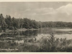 Oisterwijk - Diaconi Ven  [009-2790