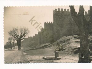 Avila - Murallas [010-0747
