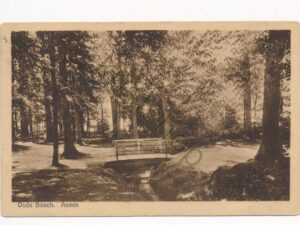 Assen - Oude Bosch [010-1974