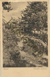 Soest - Soester Duinen  [001-0026