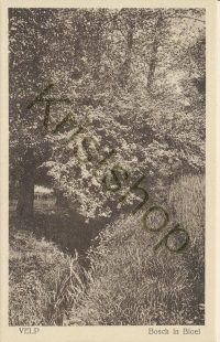 Velp - Bosch in Bloei  [001-0166