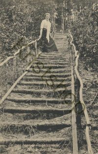 Schoorl - Klein Zwitserland - De Trap naar de Orienteertafel  [001-0485