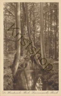 De Hierdensche Beek  [001-0782