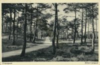 Nunspeet  Eibertjespad [001-1318