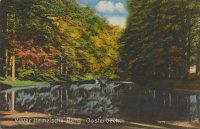 Oosterbeek  Vijver Hemelsche Berg [001-1336