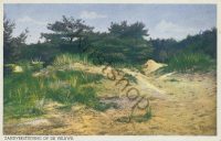 Zandverstuiving op de Veluwe [001-2777