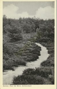 Holten - Pad bij Klein Zwitserland [001-3090