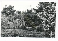 Steenbergen - Kampeer en Vakantiecentrum  Panda Rosa - Zuurse duinen [001-3415