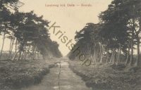 Heerde - Landweg b/d Delle  [001-3782