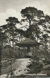 Driebergen - Paddestoel [001-5001