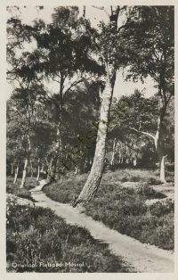 Otterloo - Fietspad Mossel [001-5036