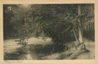 Zeist - Slotvijver [001-5408