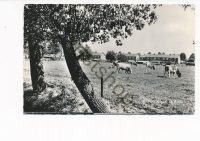 Ruurlo - Gezicht op Ruurlo [001-6107