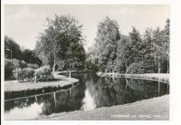 Ouderkerk a/d Amstel - Vijver [001-6318