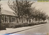 Maasdijk - Oranjeschool  [001-6419