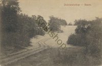 Baarn - Duinlandschap [002-0463