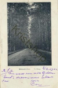 De Steeg - Middachterlaan [002-0563