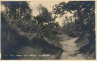 Hilversum - Holleweg - Hoogt van 't Kruis [002-0567