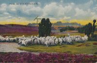 Voorthuizen [002-0569