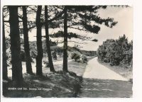 Bergen aan Zee - Zeeweg met rijwielpad [002-1082