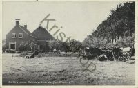 Bakkeveen - Kampeerboederij Waldsang [002-1289