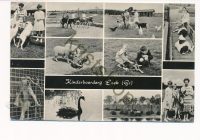 Leek - Kinderboerderij [002-1539