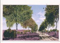 Bos en Heide [002-1746