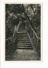 Oosterbeek - Trapopgang Westerbouwing [002-3927