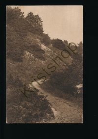 Bergen en Schoorl - de Klimweg [002-3929