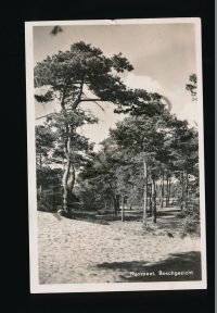 Nunspeet - Boschgezicht [002-3942