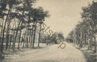 Den Dolder - Doldersche Weg  [002-4709