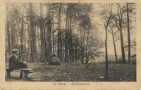 De Steeg - Duivelssteen  [002-4717