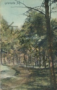 Lochemsche Berg  [002-4813