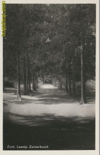 Zeist - Laantje Zeisterbosch [002-4916