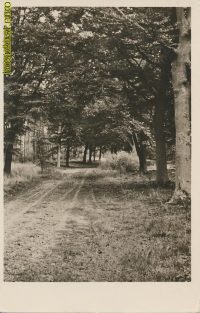 Bilthoven  [002-4917