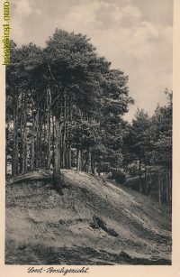 Soest - Boschgezicht [002-4934