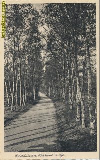 Soestduinen - Berkenlaantje [002-4935