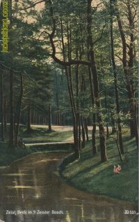 Zeist - Beek in 't zeister Bosch [002-4942