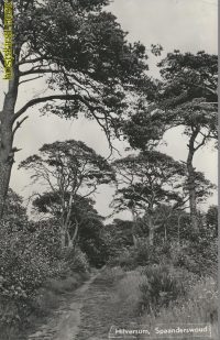 Hilversum - Spaanderswoud [002-4961