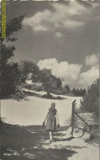 Bergen - Speelduin [002-4963