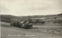Epen - Gezicht op Kasteel Beusdael [002-6299