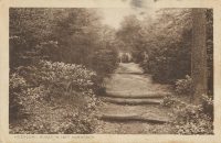Heerlen - Kijkje in het Aambosch [002-6863