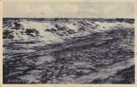 Zeegse [002-6917