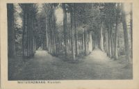 Beesterzwaag - Kruislaan [002-6921
