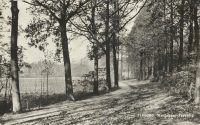 Terborg - Wandellaan - Paasberg [002-6923