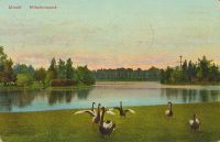 Utrecht - Wilhelminapark [002-6960