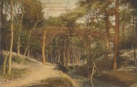 Rijsenburg - Boschgezicht met Zwitsersche brug [002-6961