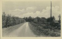 Laantje bij de Ginkel [002-7169