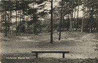 Haulerwijk - Blauwe Bos [002-7243